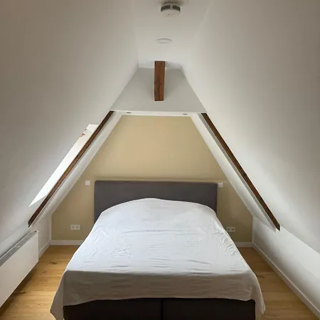 Saniertes Penthouse Im Park Am Goitzschesee