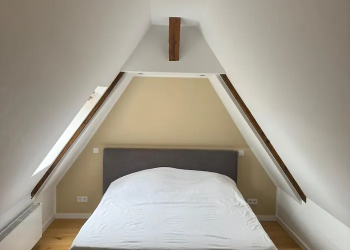 Saniertes Penthouse Im Park Am Goitzschesee