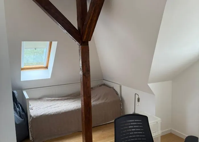 Saniertes Penthouse Im Park Am Goitzschesee * Bitterfeld-Wolfen