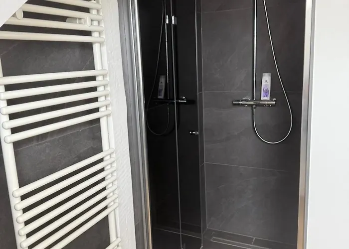 Saniertes Penthouse Im Park Am Goitzschesee