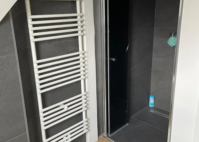 Saniertes Penthouse Im Park Am Goitzschesee Apartmán